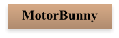 MotorBunny